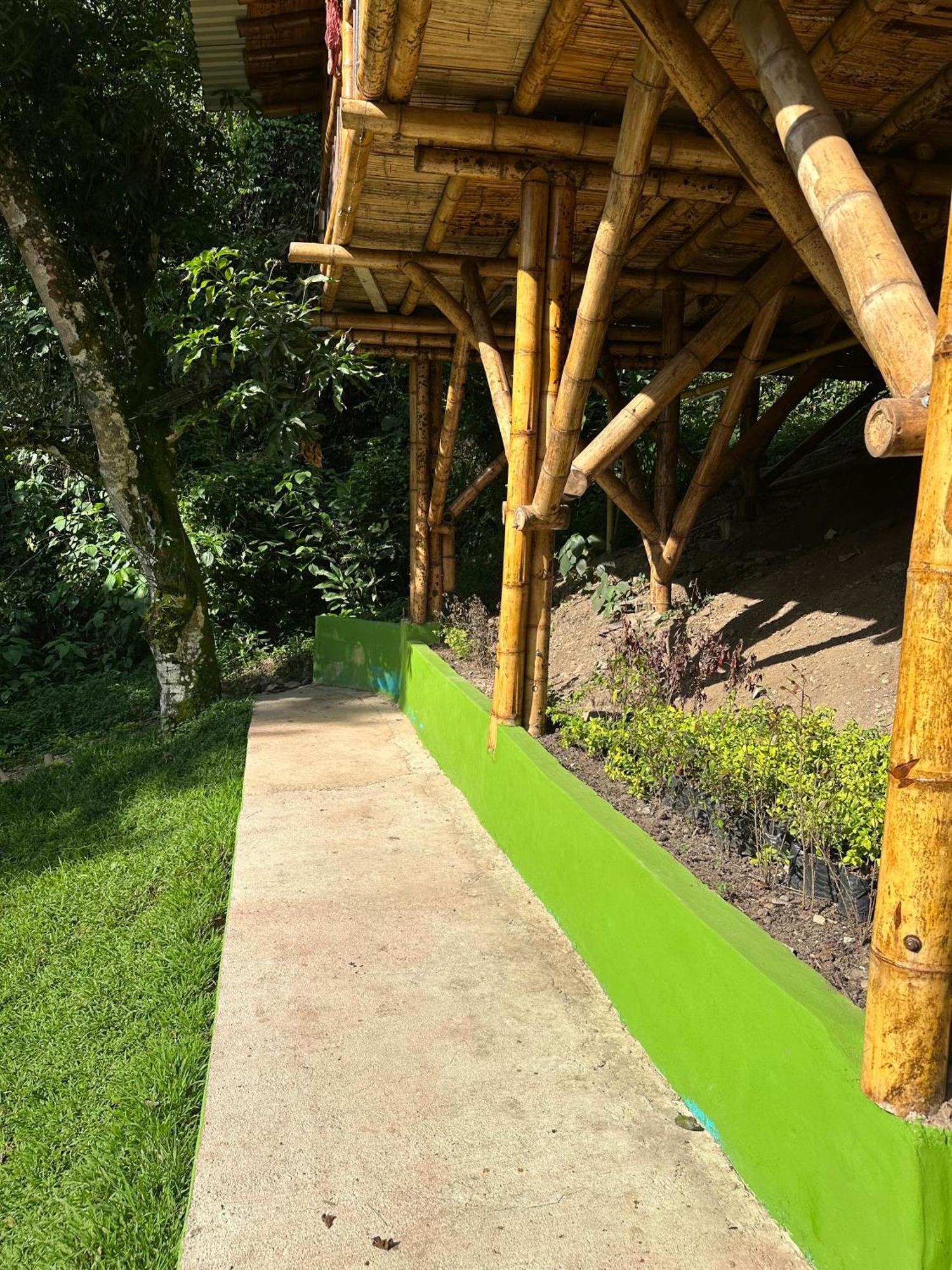 Ecohotel Monteverde La Vega  Esterno foto