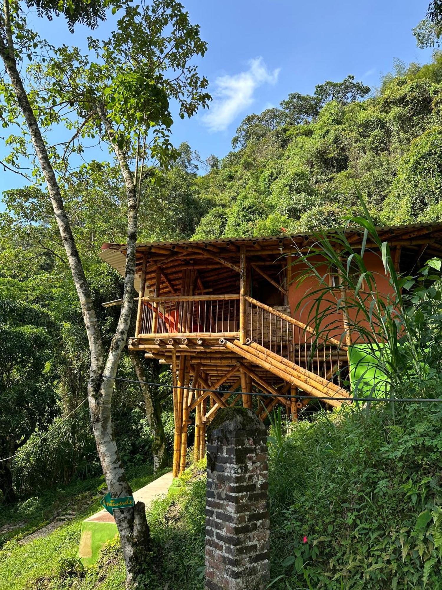 Ecohotel Monteverde La Vega  Esterno foto
