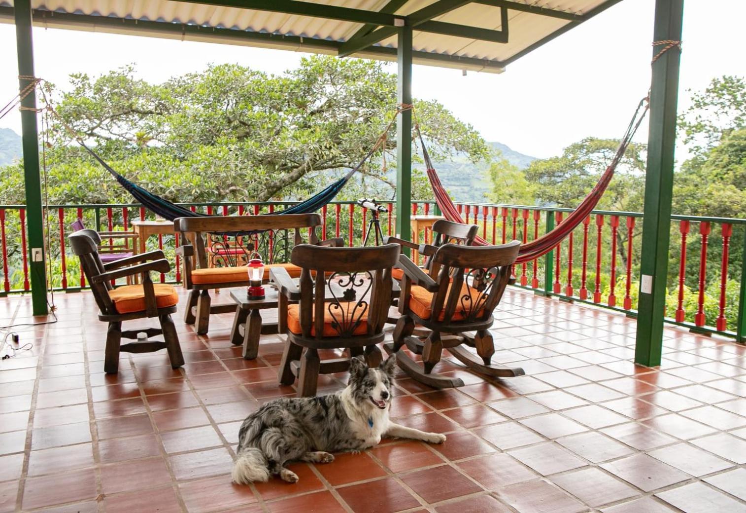 Ecohotel Monteverde La Vega  Esterno foto