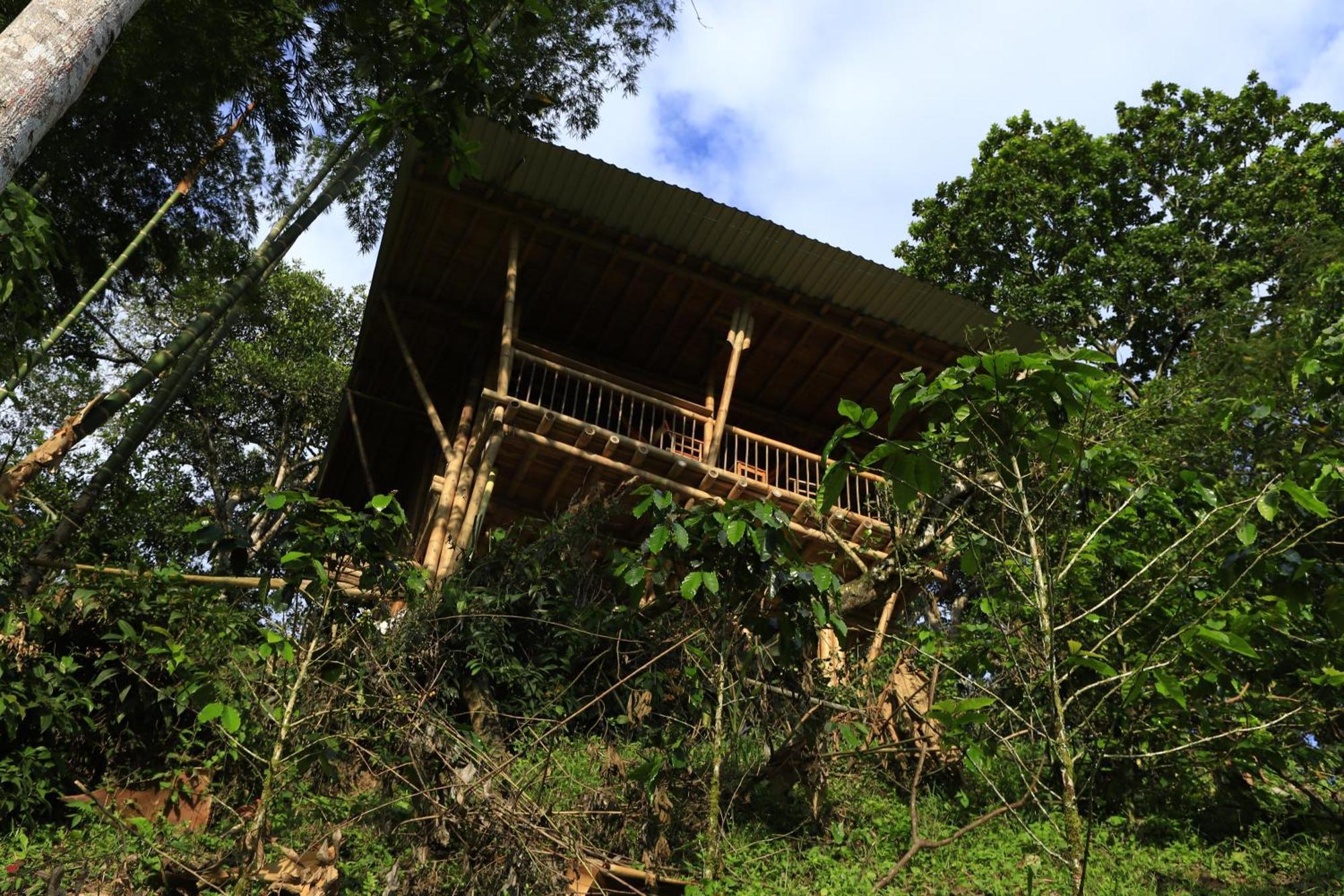 Ecohotel Monteverde La Vega  Esterno foto