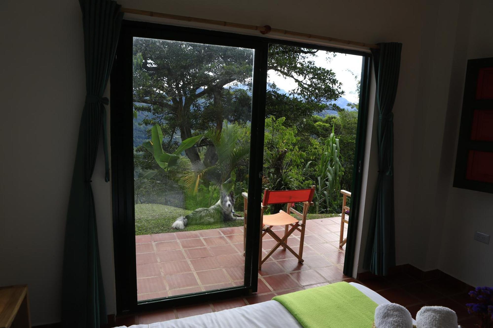 Ecohotel Monteverde La Vega  Esterno foto